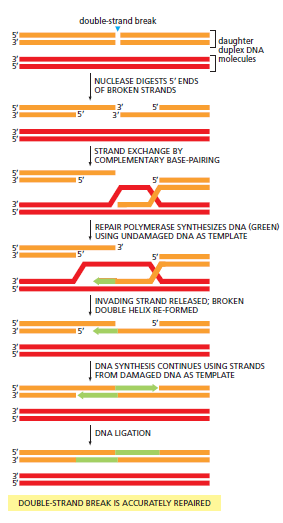 Figure 5-48.png